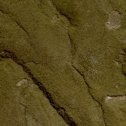 Satellite imagery of 11245, NZ