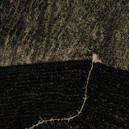 Satellite imagery of XXIX (Pihanga SD), NZ