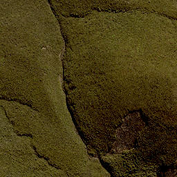 Satellite imagery of 11245, NZ
