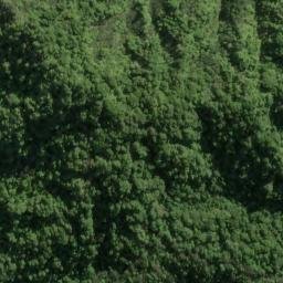 Satellite imagery of MANUTANGIHIA, NZ