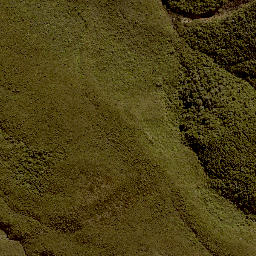 Satellite imagery of 11245, NZ
