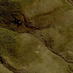 Satellite imagery of 11245, NZ