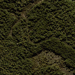 Satellite imagery of XIX (MOW), NZ