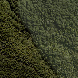 Satellite imagery of XIX (MOW), NZ
