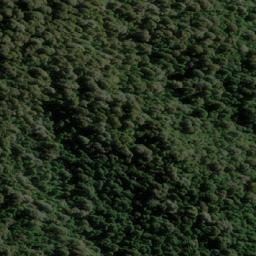 Satellite imagery of Cerro Loncotraro, CL
