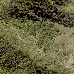 Satellite imagery of MACDONALD, NZ