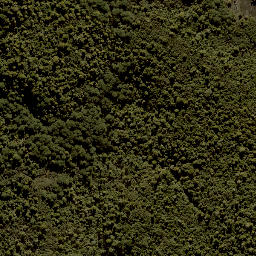 Satellite imagery of XIX (MOW), NZ