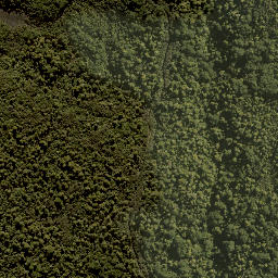 Satellite imagery of XIX (MOW), NZ