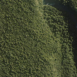 Satellite imagery of XIX (MOW), NZ