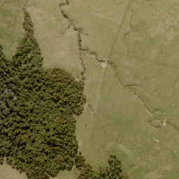 Satellite imagery of 11242, NZ
