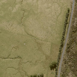 Satellite imagery of 11243, NZ