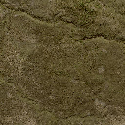Satellite imagery of 11243, NZ