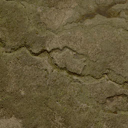 Satellite imagery of 11243, NZ