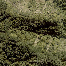 Satellite imagery of MACDONALD, NZ