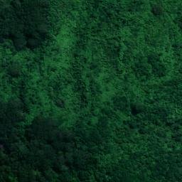 Satellite imagery of 10863, NZ