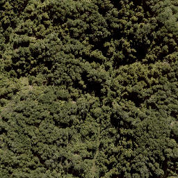Satellite imagery of MACDONALD, NZ