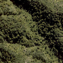 Satellite imagery of MACDONALD, NZ