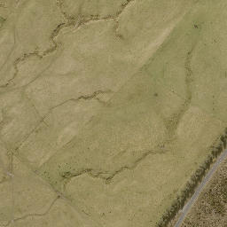 Satellite imagery of 11242, NZ