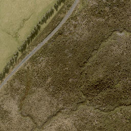 Satellite imagery of 11243, NZ