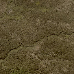Satellite imagery of 11243, NZ