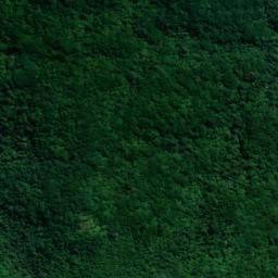 Satellite imagery of 10863, NZ