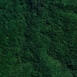 Satellite imagery of 10863, NZ