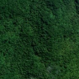 Satellite imagery of Goat Rock, NZ