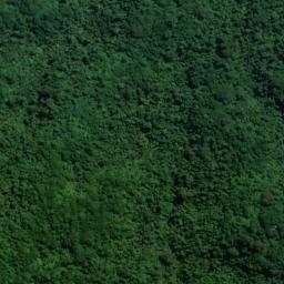 Satellite imagery of Goat Rock, NZ
