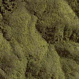 Satellite imagery of B (Kaitieke SD), NZ