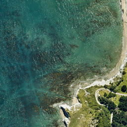 Satellite imagery of Moemoto Head, NZ