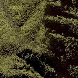 Satellite imagery of B (Kaitieke SD), NZ