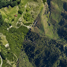 Satellite imagery of Moemoto Head, NZ