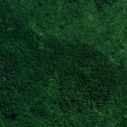 Satellite imagery of Patuha Pa, NZ