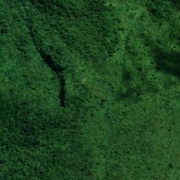 Satellite imagery of Patuha Pa, NZ