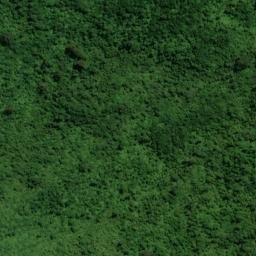 Satellite imagery of Goat Rock, NZ
