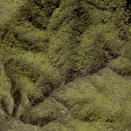 Satellite imagery of B (Kaitieke SD), NZ