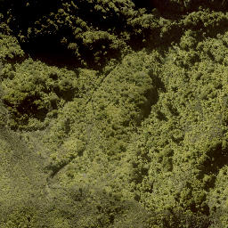 Satellite imagery of B (Kaitieke SD), NZ