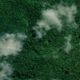 Satellite imagery of Patuha Pa, NZ