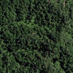 Satellite imagery of KNOB, NZ
