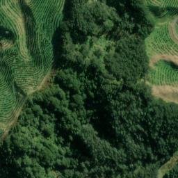 Satellite imagery of Mangahau Pa, NZ