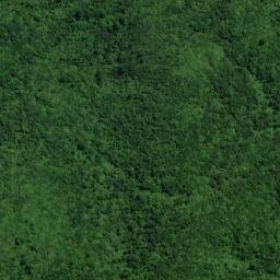 Satellite imagery of B PATUHA, NZ