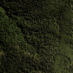 Satellite imagery of 11291, NZ