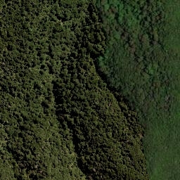 Satellite imagery of 11291, NZ