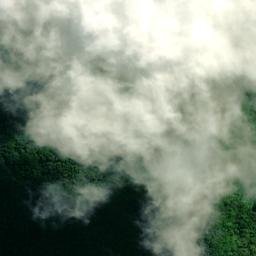 Satellite imagery of 10891, NZ