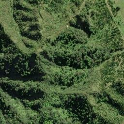 Satellite imagery of E AUTAWA, NZ