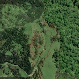 Satellite imagery of 11081, NZ