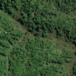 Satellite imagery of 11081, NZ