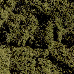 Satellite imagery of MAUNGAROA, NZ