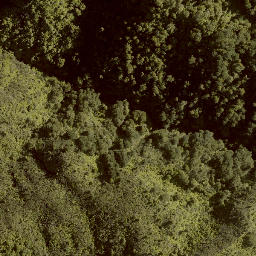 Satellite imagery of MAUNGAROA, NZ