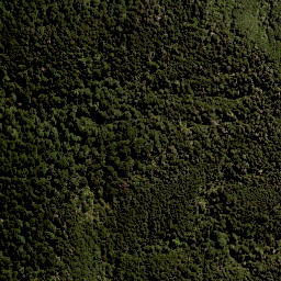 Satellite imagery of 11291, NZ